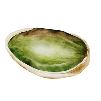 Pistachio watercolor. Hand drawn nut with shell isolated on white background. Realistic snack clip art. Ideal for logo, product packaging, banner. High quality photo
