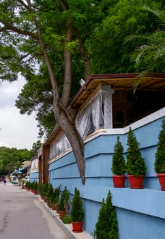 BULGARIA, VARNA - JUNE 06, 2013: 
a tree grows from the wall of the restaurant, the interior of the institution on the seashore in Varna, Bulgaria