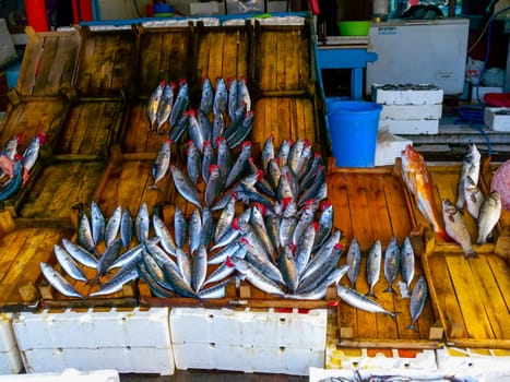 TRABZON, Türkiye - OCTOBER 22, 2014: fish market in Trabzon, Türkiye