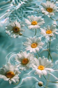 Chamomile flowers on the surface of water in drops, flowers Generative AI,
