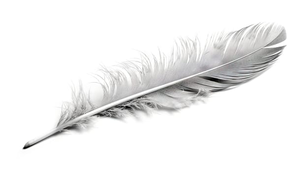 Bird feather on white background. Beautiful bird plumage or wing element, isolated smooth feather. Generated AI