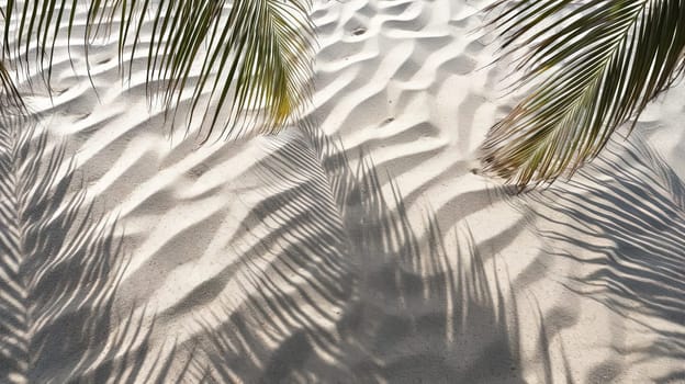 Plam leaves on the tropical beach sand background. Vacation and relaxation concept with dry palm leaves on the hot summer beach. Generated AI