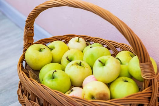 Shot of the freshly picked apples in the basket