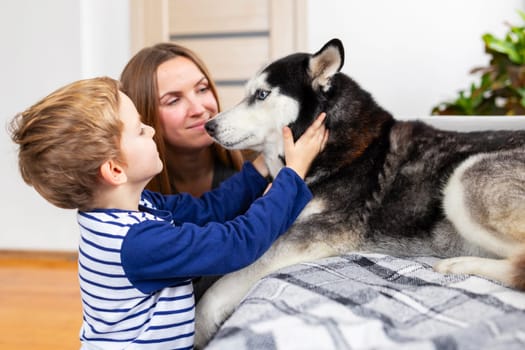 A young boy and a woman petting a Siberian Husky dog indoors. The boy is holding the dog's face while the woman watches. The scene takes place on a bed with a plaid blanket.