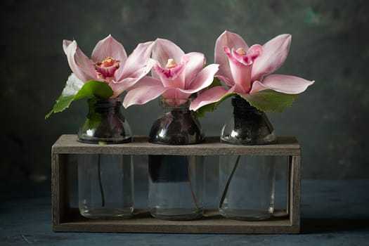 A studio photo of pink orchids in small glass bottles.