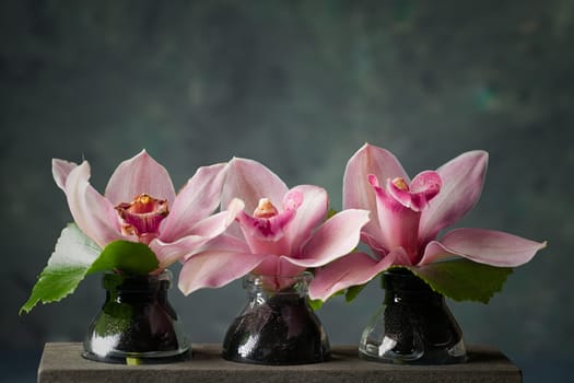 A close up studio photo of ornamental orchids in glass bottles.