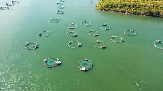 Sea fish farm. Cages for fish farming dorado and seabass. Philippines, Luzon.