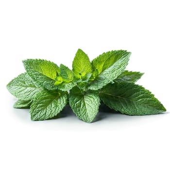 Mint with small leaves and stems in scattered dynamic composition Food and culinary concept. Food isolated on transparent background.