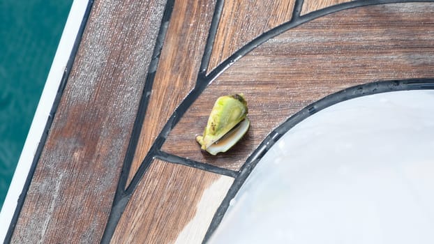 clam in a shell on a wooden boat deck pulled out of the water onto dry land, a raw mussel,