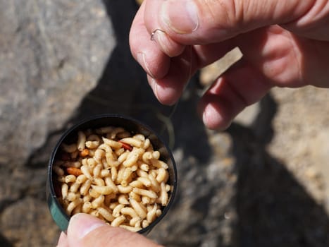 fishing hook and maggots in a jar in male hands, close-up.