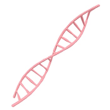 A pink DNA strand is shown in a white background