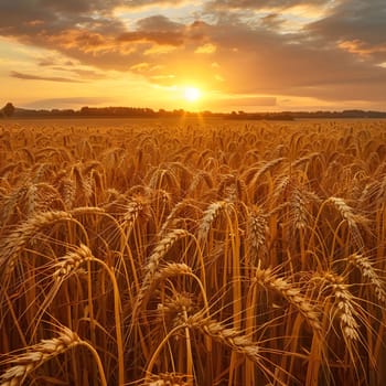 A vast field of golden wheat swaying gently in the breeze as the sun sets, painting the sky in vibrant shades of orange and pink.
