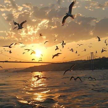A beautiful sunset over the water with seagulls flying in the sky.