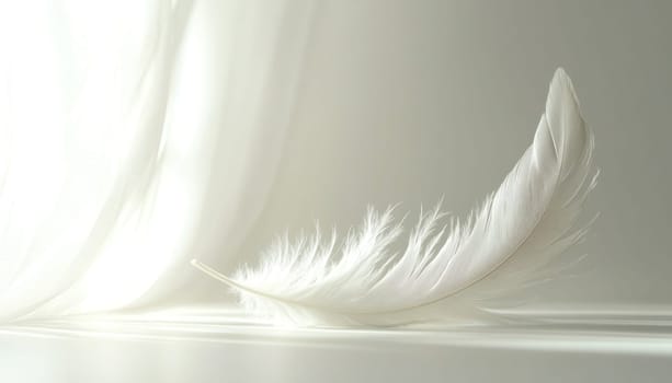 A beautifully white feather is gently resting on an equally white and smooth surface, creating a soft contrast