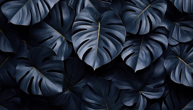This is a detailed closeup photograph featuring a cluster of black leaves set against a solid black background