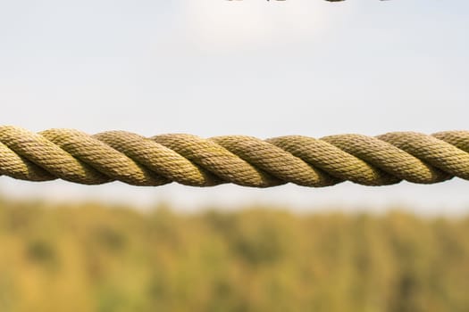 braided rope against green foliage of trees and sky , background is dimly visible, setting sun gives golden glow and shadows
