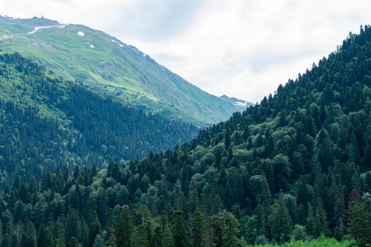A drone flies over a mountain valley in the Caucasus Mountains. The valley is filled with green trees and a winding river. In the distance, a snow-capped peak rises above the valley.