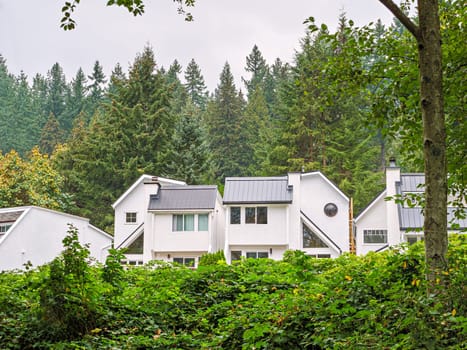 Raw of white residential houses on overcast autumn day in Canada.