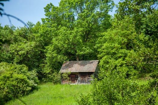 A quaint wooden cabin stands amidst lush green foliage, surrounded by a dense forest, with a serene and rustic ambiance