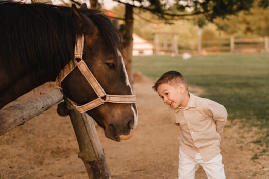 a little boy in the evening at the farm next to a horse.