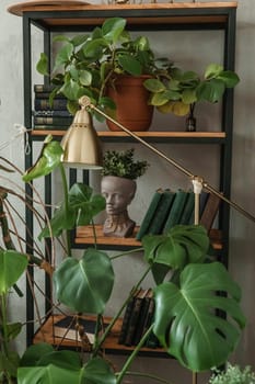 A fragment of the interior with a variety of indoor plants and plaster sculptures. Urban jungle concept. Biophilia design.