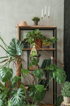 A fragment of the interior with a variety of indoor plants and plaster sculptures. Urban jungle concept. Biophilia design.