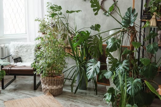 A fragment of the interior with a variety of indoor plants and plaster sculptures. Urban jungle concept. Biophilia design.