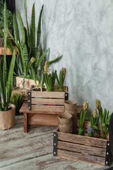 A fragment of the interior with a variety of indoor plants and plaster sculptures. Urban jungle concept. Biophilia design.