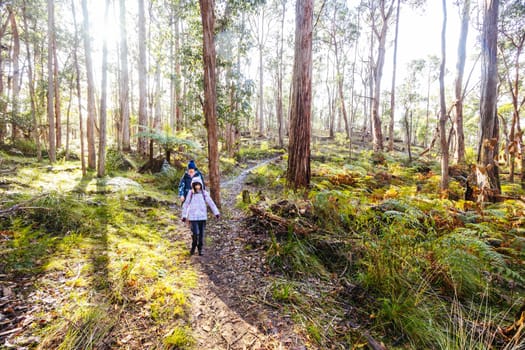 idyllic surroundings around Lerderderg Heritage River Walk on a cool winter's day in western Melbourne in Victoria, Australia