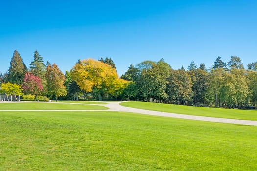 Green wide open meadow in a park with trees and paved pathways across the space