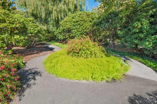 Paved pathway through a park with round flowerbed in the middle.