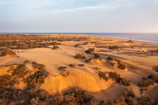 Landscape with Maspalomas town and golden sand dunes, Gran Canaria, Canary Islands, Spain. Natural Reserve of Dunes of Maspalomas, in Gran Canaria, Canary Islands, Spain.