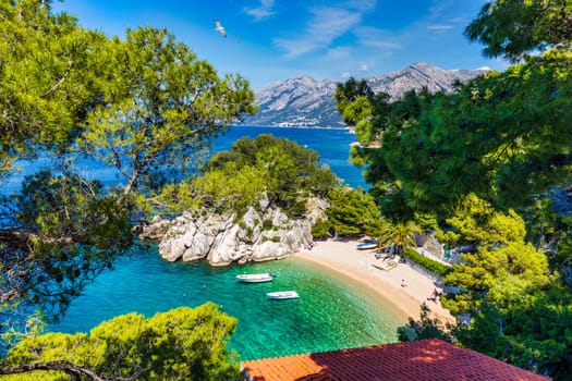 Amazing aerial view of the beautiful Podrace beach in Brela, Makarska Riviera, Croatia. Aerial view of Podrace beach and waterfront on Makarska riviera, Brela, Dalmatia region of Croatia.