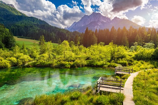 Wonderful view of Zelenci nature reserve in Slovenia. Nature reserve Zelenci, Krajnska Gora, Slovenia, Europe. Lake and forest in Zelenci Springs, Kranjska Gora, Upper Carniola, Slovenia.