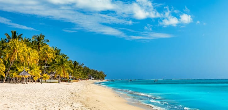 Palm trees on the tropical Le Morne beach, Mauritius. Tropical vacation background concept on Le Morne beach, Mauritius. Paradise beach on Mauritius island, palm trees, white sand, azure water.