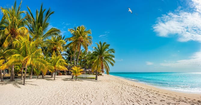 Paradise beach resort with palm trees and and tropical sea in Mauritius island. Summer vacation and tropical beach concept. Sandy beach with Le Morne beach on Mauritius island. Tropical landscape.