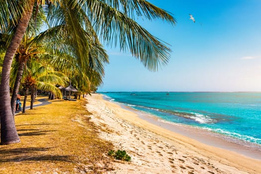 A beach with palm trees and umbrellas on Le morne Brabant beach in Mauriutius. Tropical crystal ocean with Le Morne beach and luxury beach in Mauritius. Le Morne beach with palm trees, white sand and luxury resorts, Mauritius.