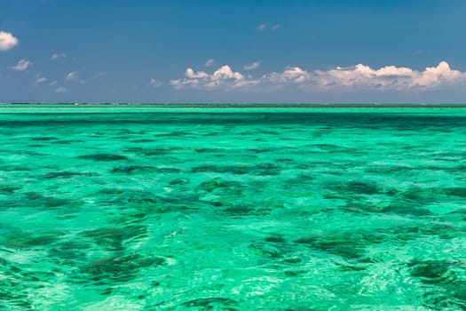 Water surface in vibrant green. View of a crystal clear sea water texture. View natural sea water, green background. Green water reflection. Green ocean wave.