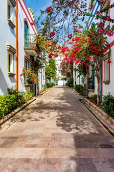 Street with blooming flowers in Puerto de Mogan, Gran Canaria, Spain. Favorite vacation place for tourists and locals on island. Puerto de Mogan with lots of bougainvillea flowers, Canary Island.