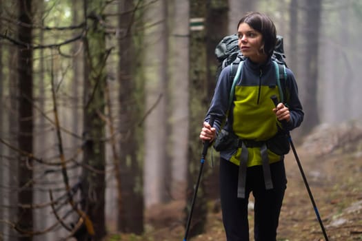 A young girl is engaged in active pastime, walks in the mountains along the trail, the forest with relict trees at sunset on the background. Traveler is hiking in the national park.