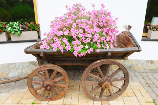 A flower bed in an old wooden cart.