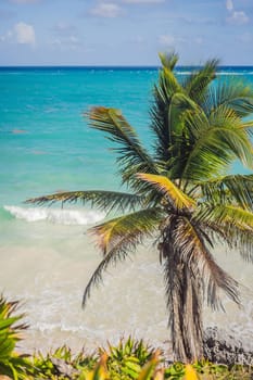 Coconut palm trees against blue sky and Caribbean sea. Vacation holidays background wallpaper. View of nice tropical beach. stories