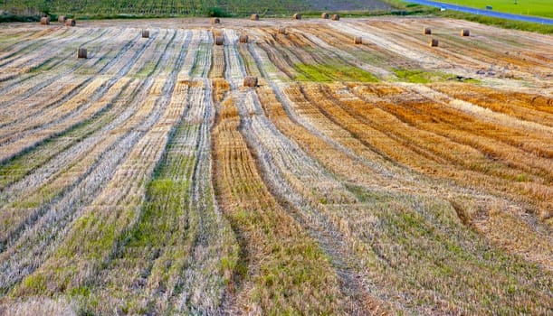 The sun sets over a vibrant autumn landscape, casting a golden glow across the vast fields. Rows of freshly cut grass reveal a stunning tapestry of earthy tones, from golden yellows to rich browns. Scattered hay bales dot the fields, adding texture and interest to the tranquil countryside.