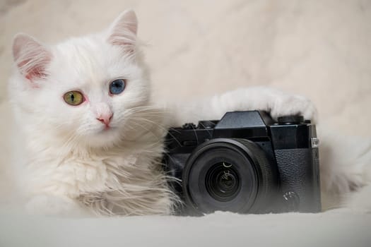 A cute little white cat joyfully holding a camera, ideal for pet lovers and photography enthusiasts alike