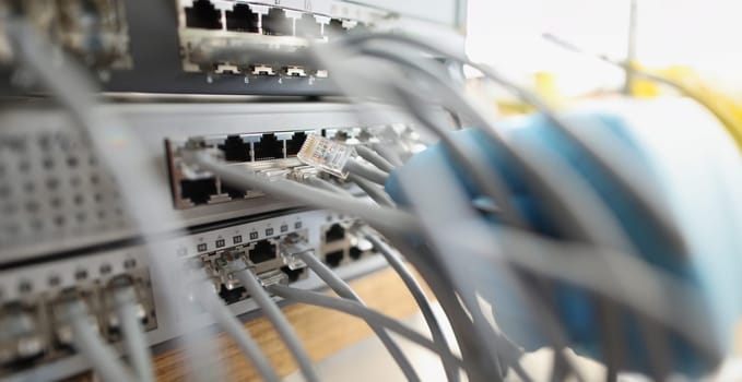 Server switch, patch cord connection, close-up, blurry. Internet access, global network cyber security