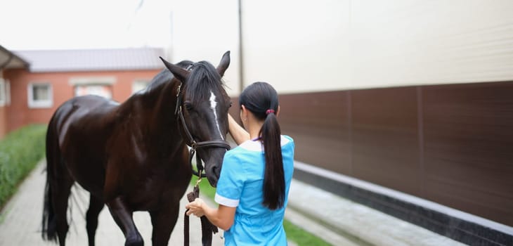 A woman in the street stroking the muzzle of a brown horse, close-up. Stable staff, veterinary examination