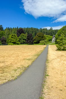 Landscape with the long paved pathway over yellow lawn to a historic residential building.