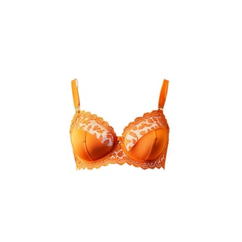 woman lingerie isolated on transparent background