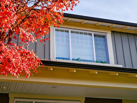 Top of residential house with red leaves tree on side.
