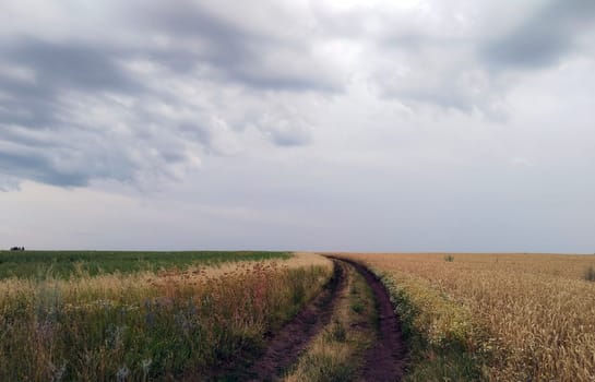 A dirt path meanders between lush green and golden fields beneath a dramatic, cloudy sky during twilight.